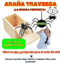 Caja Sorpresa “Araña Traviesa” 🕸️