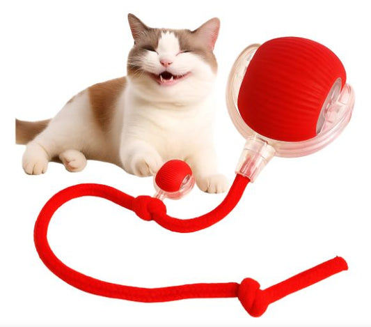 Pet Ball